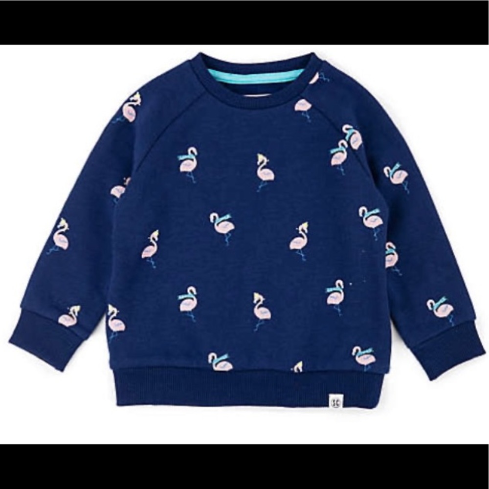 Sovereign Code Los Angeles Designer Unisex Flamingo Sweatshirt -6 Months